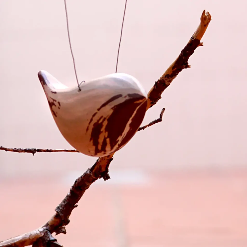 PajALItos de Alicia Gómez Bellver